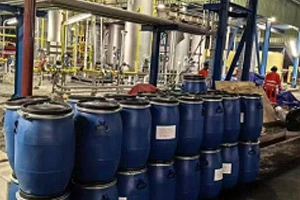 Quins són els determinants de l'efecte de producció de nitrogen dels tamisos ...